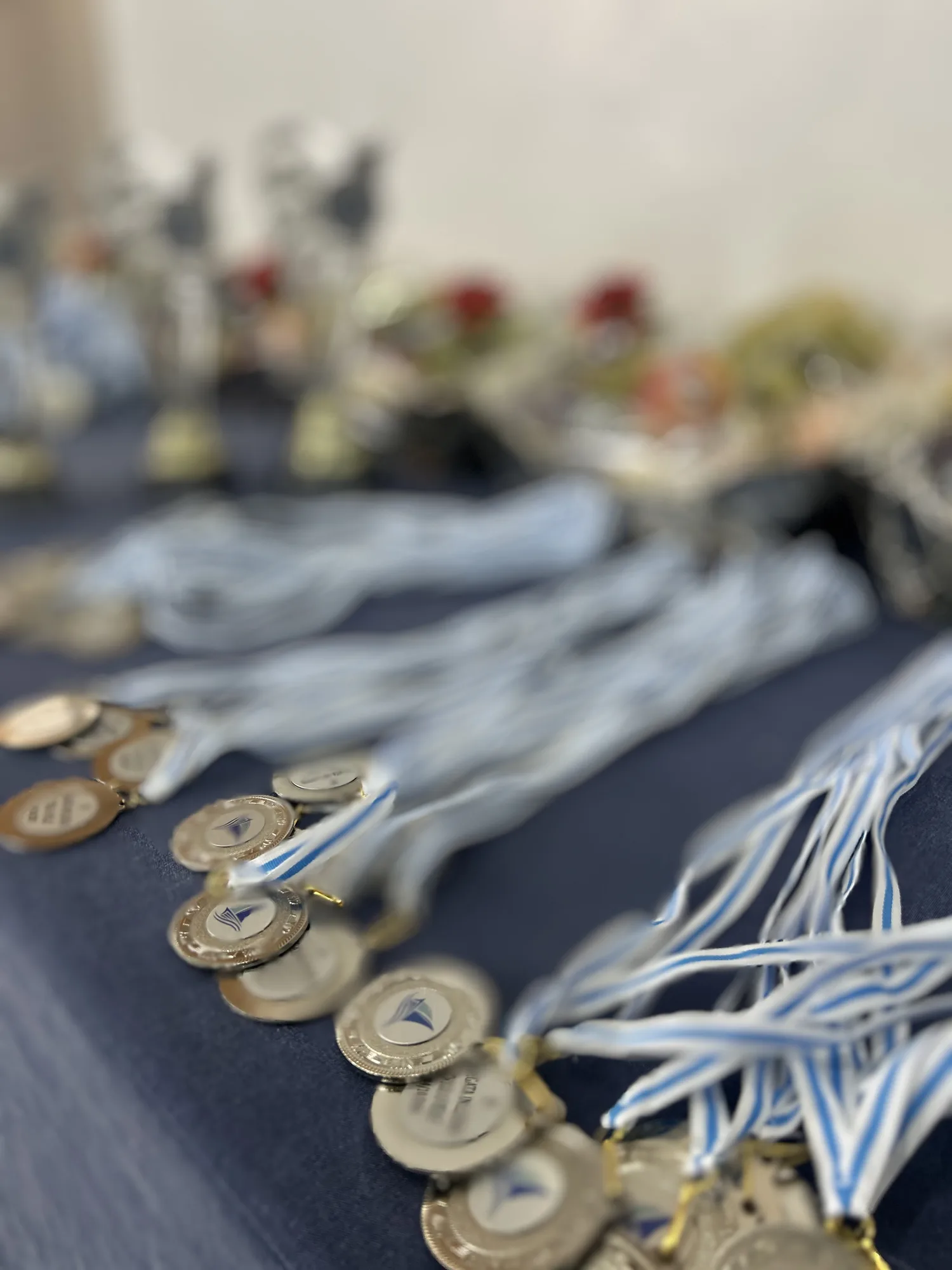 IV Regata 2025: medallas de los participantes