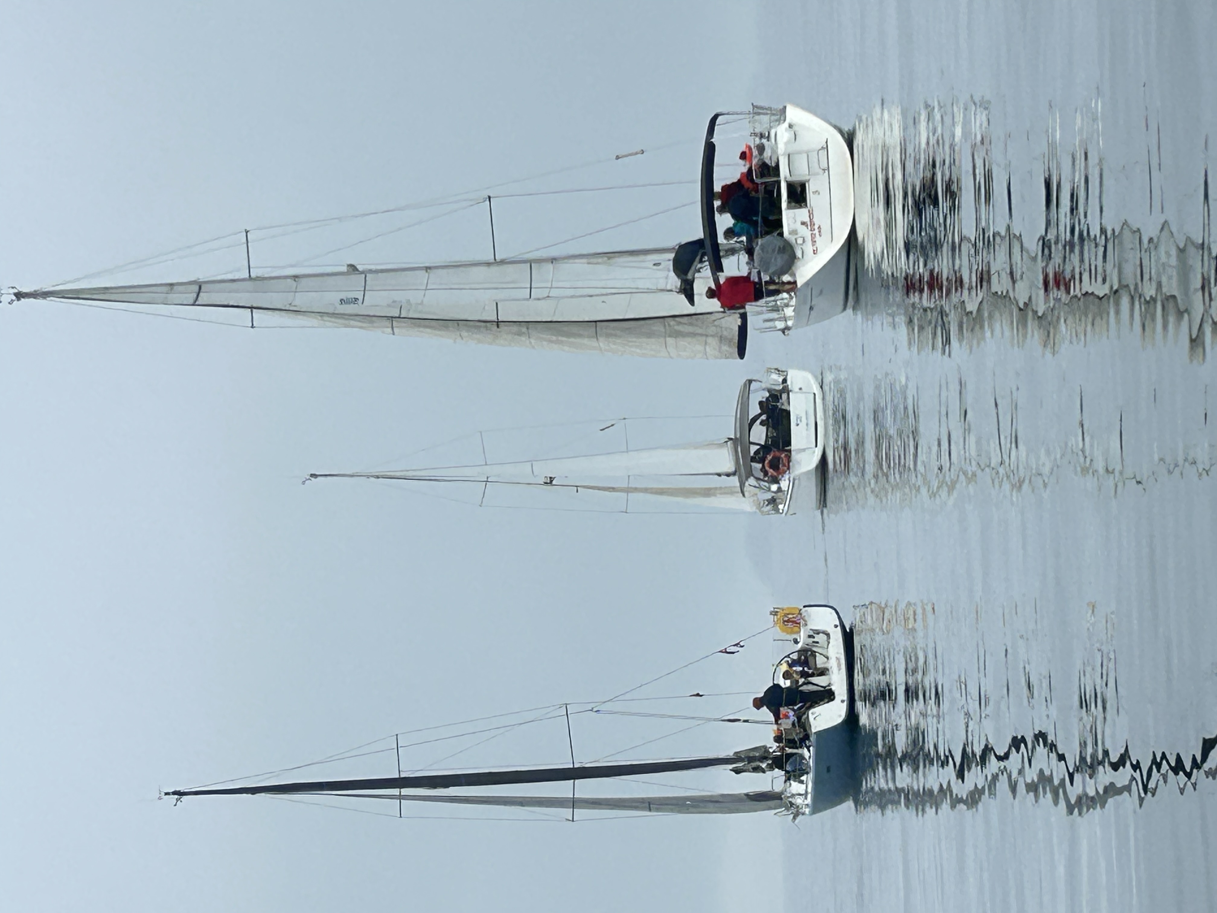 Regata inclusiva — velero en competición